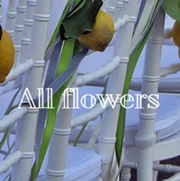 ΑΝΘΗ – ΦΥΤΑ - Ανδρος - ALL FLOWERS - ΑΝΘΟΠΩΛΕΙΟ ΑΝΔΡΟΣ - ΑΝΘΟΣΤΟΛΙΣΜΟΙ ΑΝΔΡΟΣ - ΓΑΜΟΣ - ΒΑΠΤΙΣΗ - ΦΥΤΩΡΙΟ ΑΝΔΡΟΣ ΚΥΚΛΑΔΕΣ